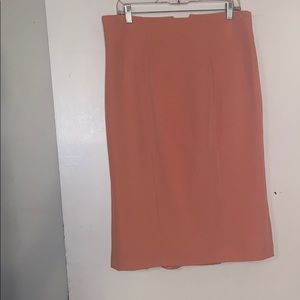 Eva Mendez Skirt